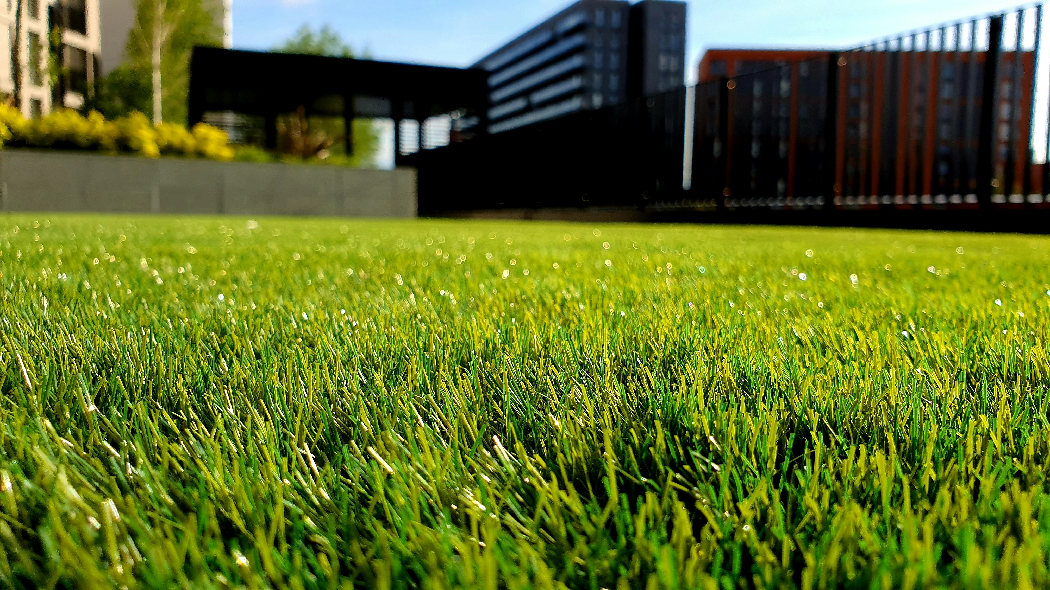 Commercial Lawn Care — King of Prussia, PA