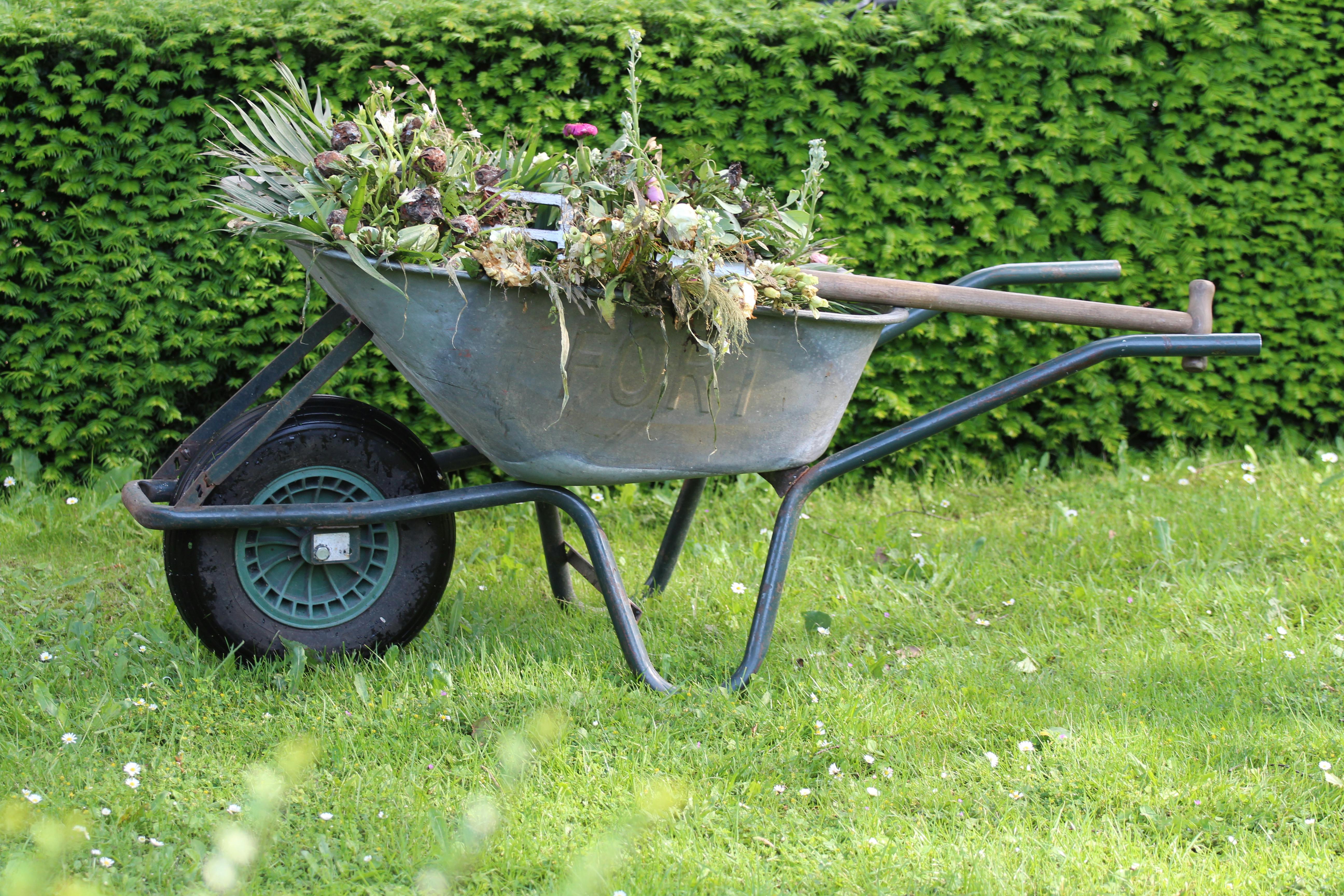 Five DIY Landscaping Mistakes That Cost More Than Hiring a Pro