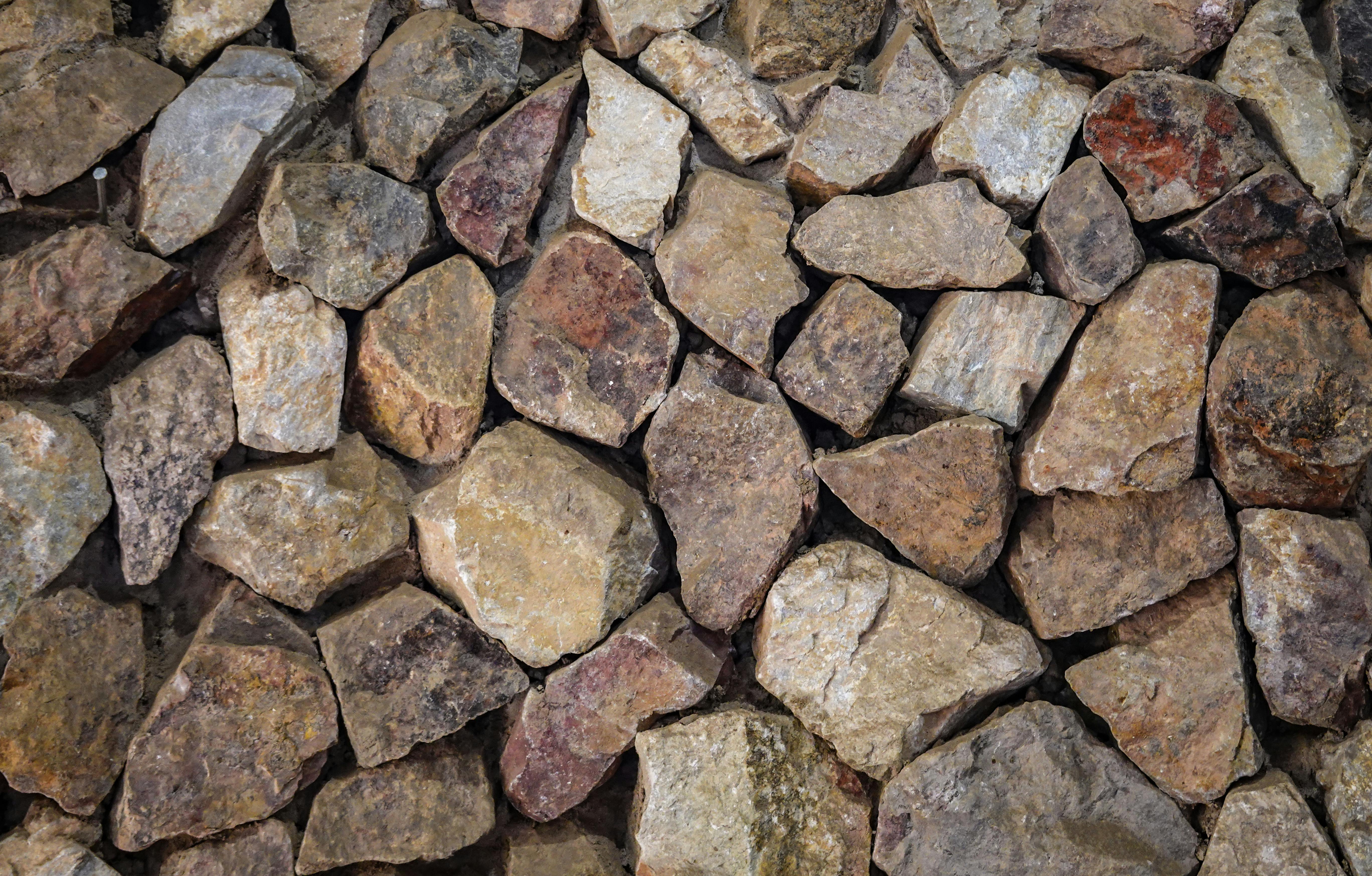 Hardscape vs. Softscape: How to Balance Your Outdoor Space