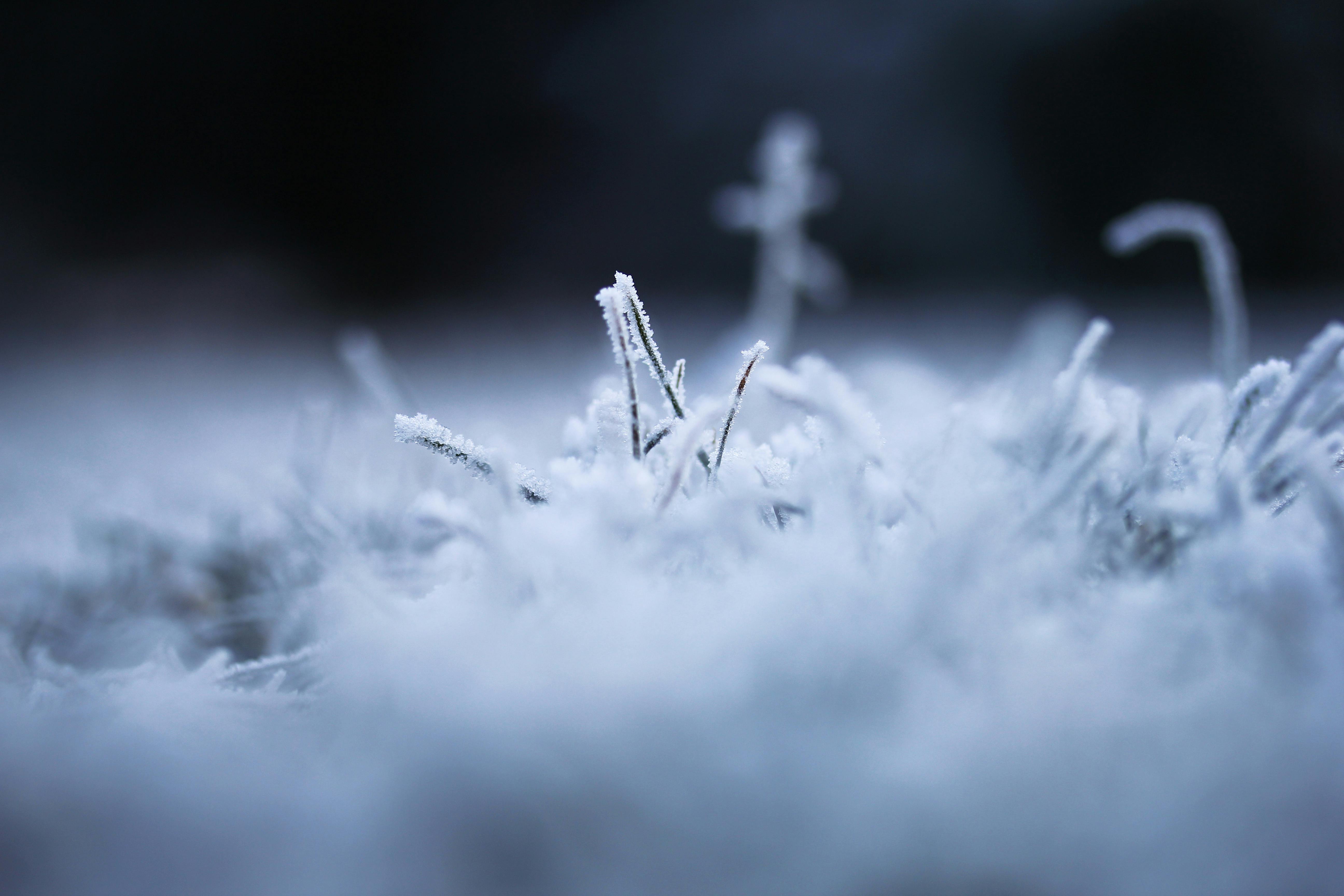 How Pennsylvania Winters Damage Your Lawn — And How to Recover