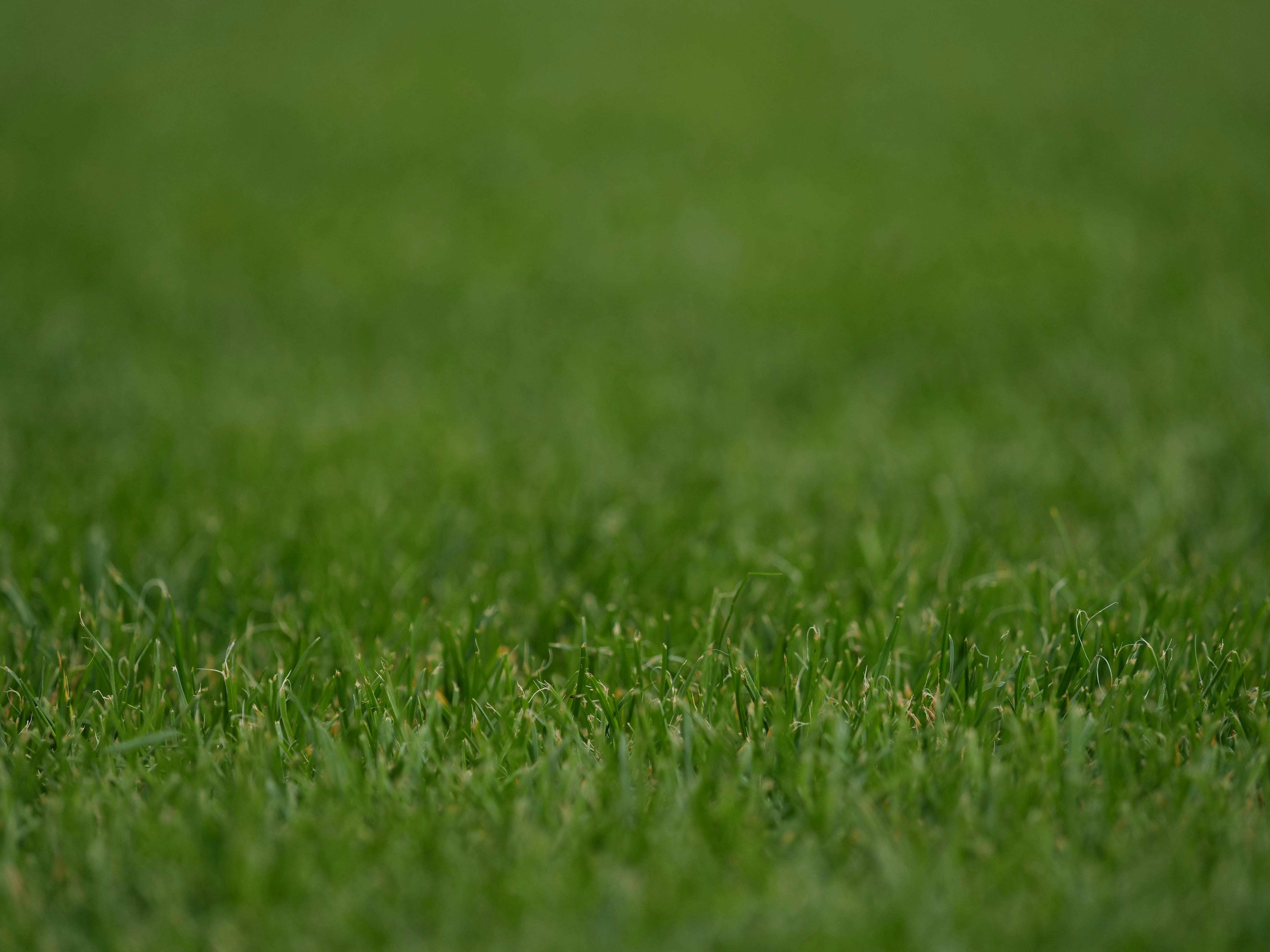 Lawn & Garden Care